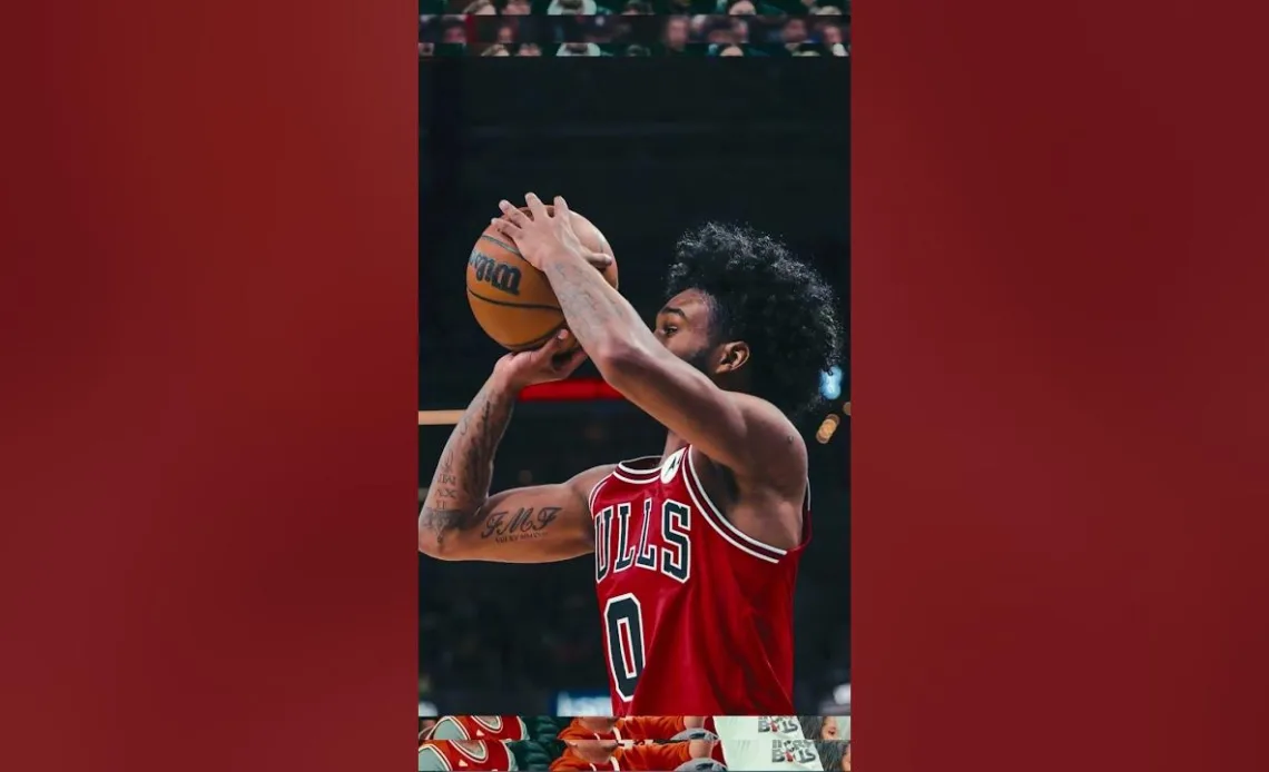 Coby White appreciation post 🥶 | Chicago Bulls #nba #shorts #chicagobulls #basketball