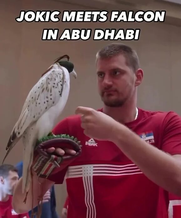 Jokic loves animals 👀 (via @Nuggets, @visitabudhabi) #shorts